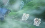 Em uso pelos Touros Negos