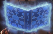 Grimoire Sivoir