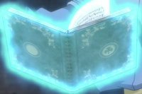 Salim's grimoire