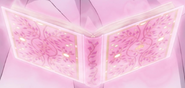 Dorothy grimoire