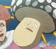 Unnamed heavy mushroom