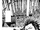Chapter 168