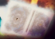 Conrad grimoire.png (609 KB) Conrad's grimoire