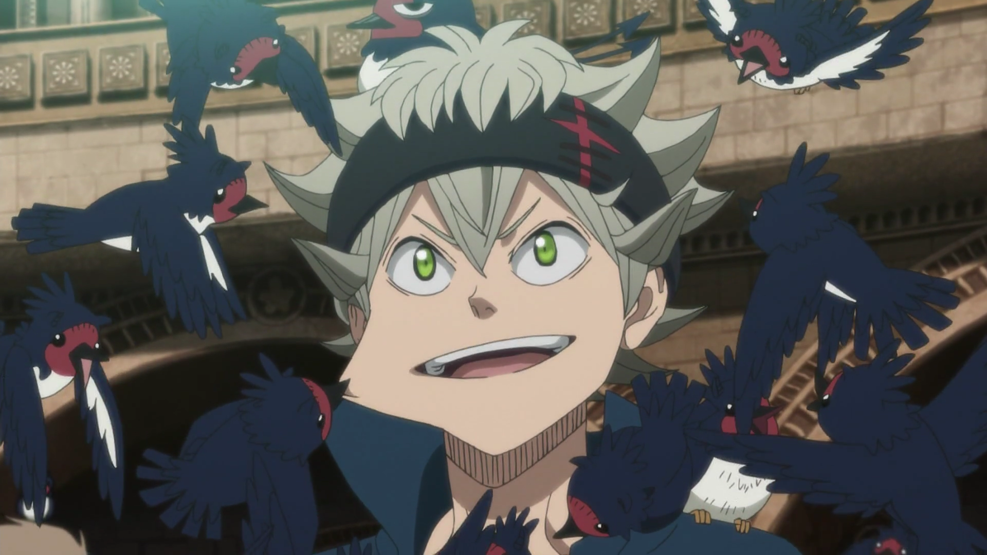 Asta_being_annoyed_by_anti-birds.png