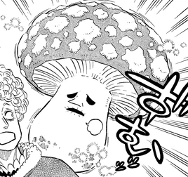 Magie Champignonneuse