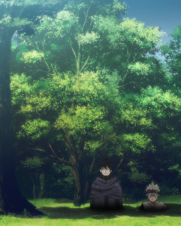 Shadow Magic Black Clover Wiki Fandom I saw that when gimodelo is with him. shadow magic black clover wiki fandom