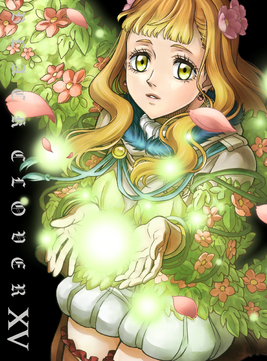 Chapter XV cover