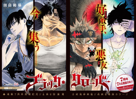 Chapter 326