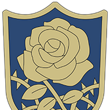 Blue Rose Black Clover Wiki Fandom