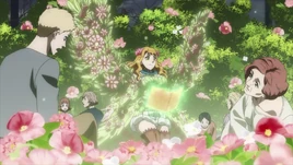 Mimosa heals citizens