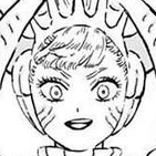 Paladin Acier square