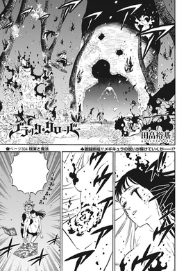 Chapter 304