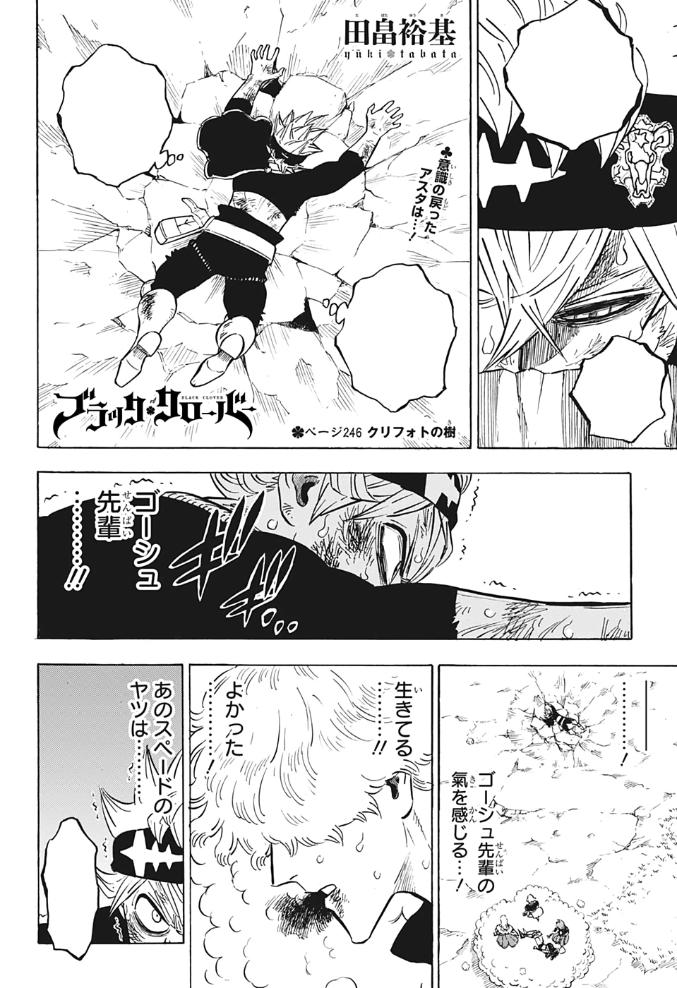 ブラッククローバー Kawasaki ZX6R 2024-2026 Gloss Metallic Black ABS Fairings