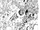 Chapter 193
