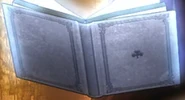 Lebuty grimoire.png (122 КБ) Гримуар Лебучи
