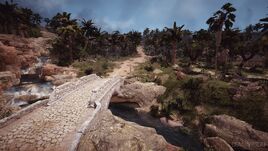 Areha Palm Forest