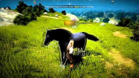 Black_Desert_Online_Content_Trailer_2015