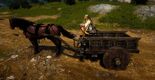 Vehicle shabby wagon.jpg