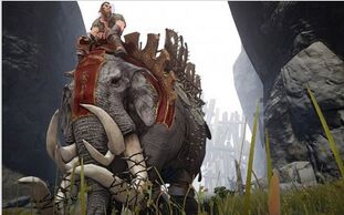 BlackDesert-Elephant