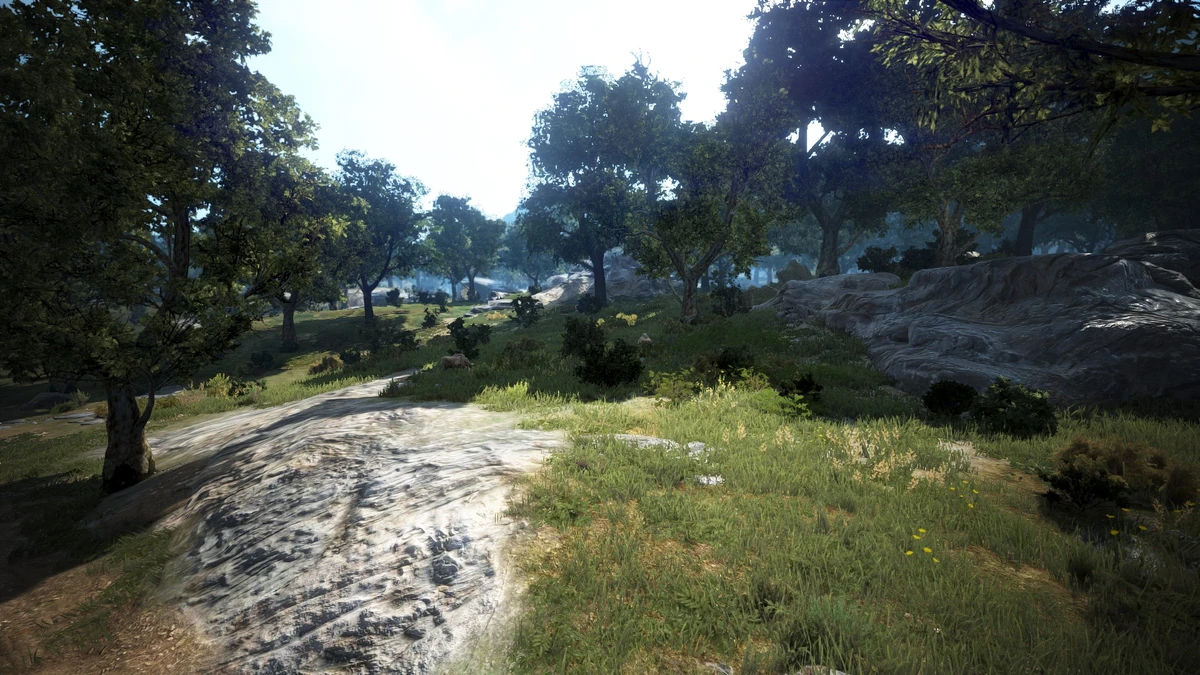 Quint Plain Black Desert Wiki Fandom