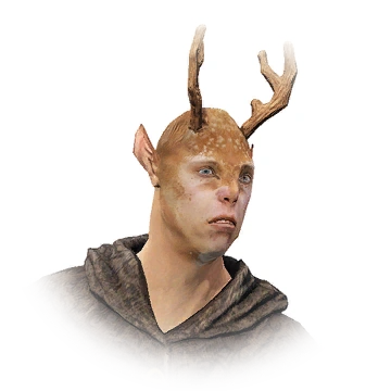 Reyas | Black Desert Wiki | Fandom