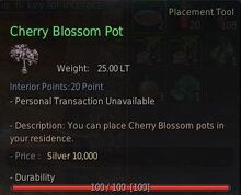 Cherry blossom pot