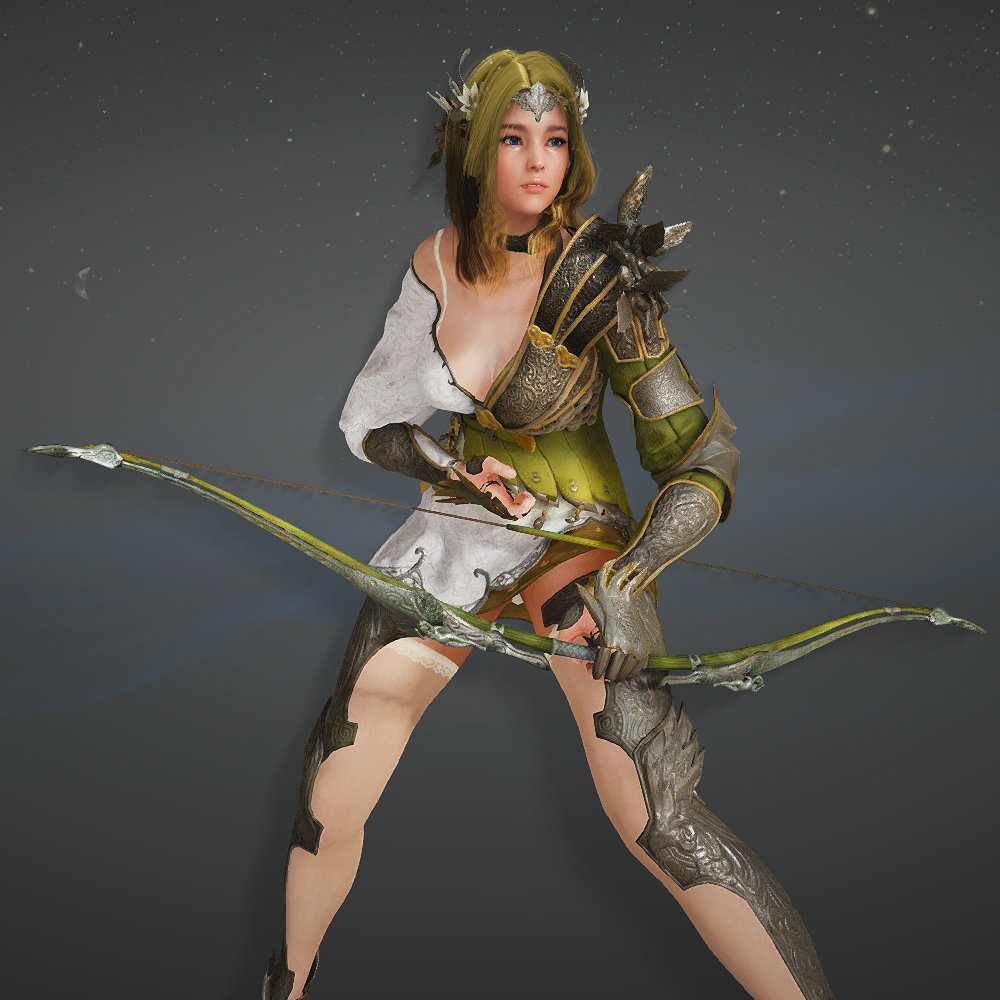 Ranger Black Desert Wiki Fandom