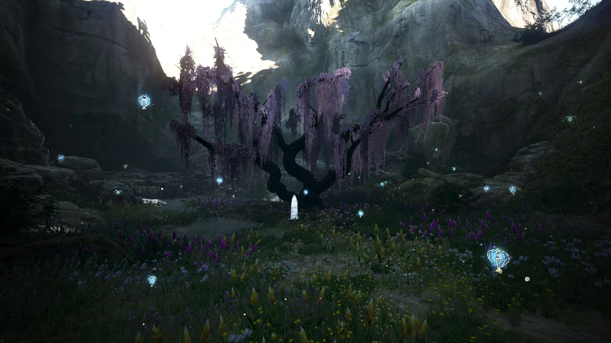 Yianaros's Field Black Desert Wiki Fandom