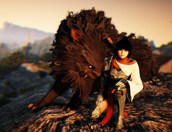 Tamer Black Desert Online Wiki