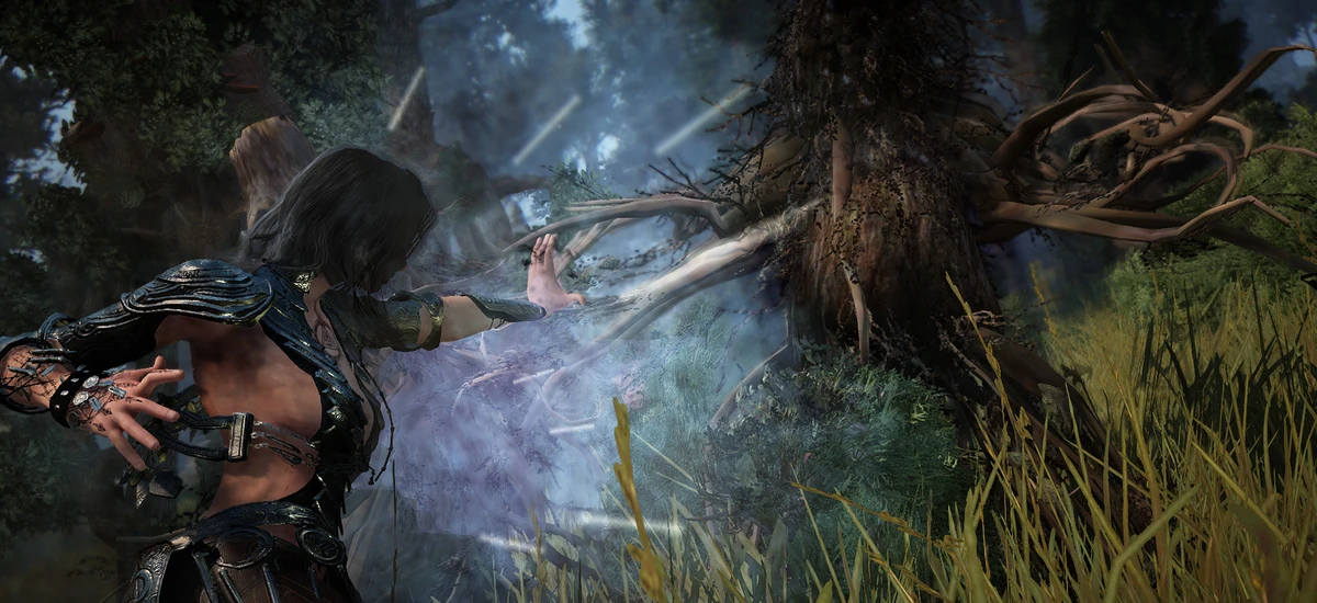 Sorceress Black Desert Online Wiki