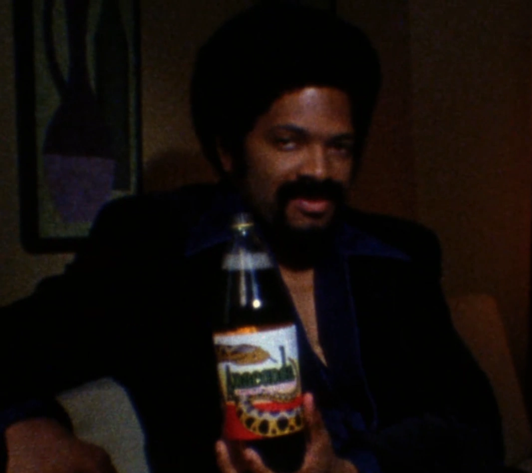 blackdynamite.fandom.com
