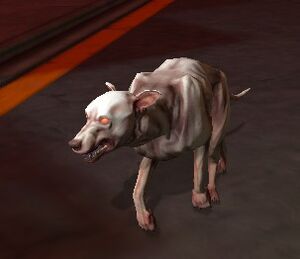 Zombie-Hund