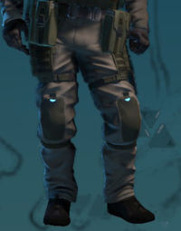 Dataluxe R7 Skirmisherm.jpg