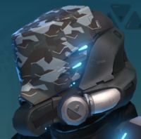 SlantX2Camo.jpg