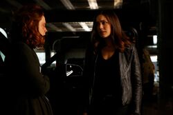 the blacklist wiki fandom