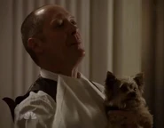 Berlin2 Red.jpg (13 KB)