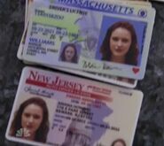 Fake IDs