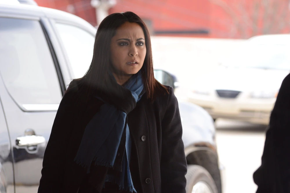 The Pavlovich Brothers The Blacklist Wiki Fandom