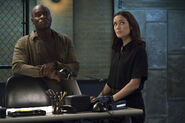 701Promo19 - Dembe Liz