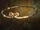 Free Mind