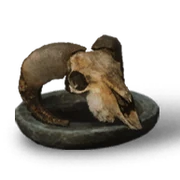 Goat Skull Rare