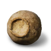 Buddha's Eyeball Rare