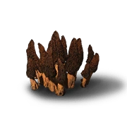 Snake-Head Mushroom Uncommon