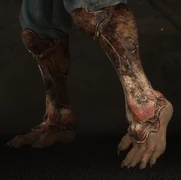 Insect Spike Gaiters