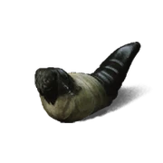 Proto-Amourworm Epic