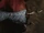 Loongscale Armguard