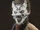 Grey Wolf Mask