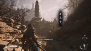 Crouching Tiger Temple