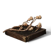 Undying Vine Rare