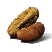 Awaken Wine Worm Legendary